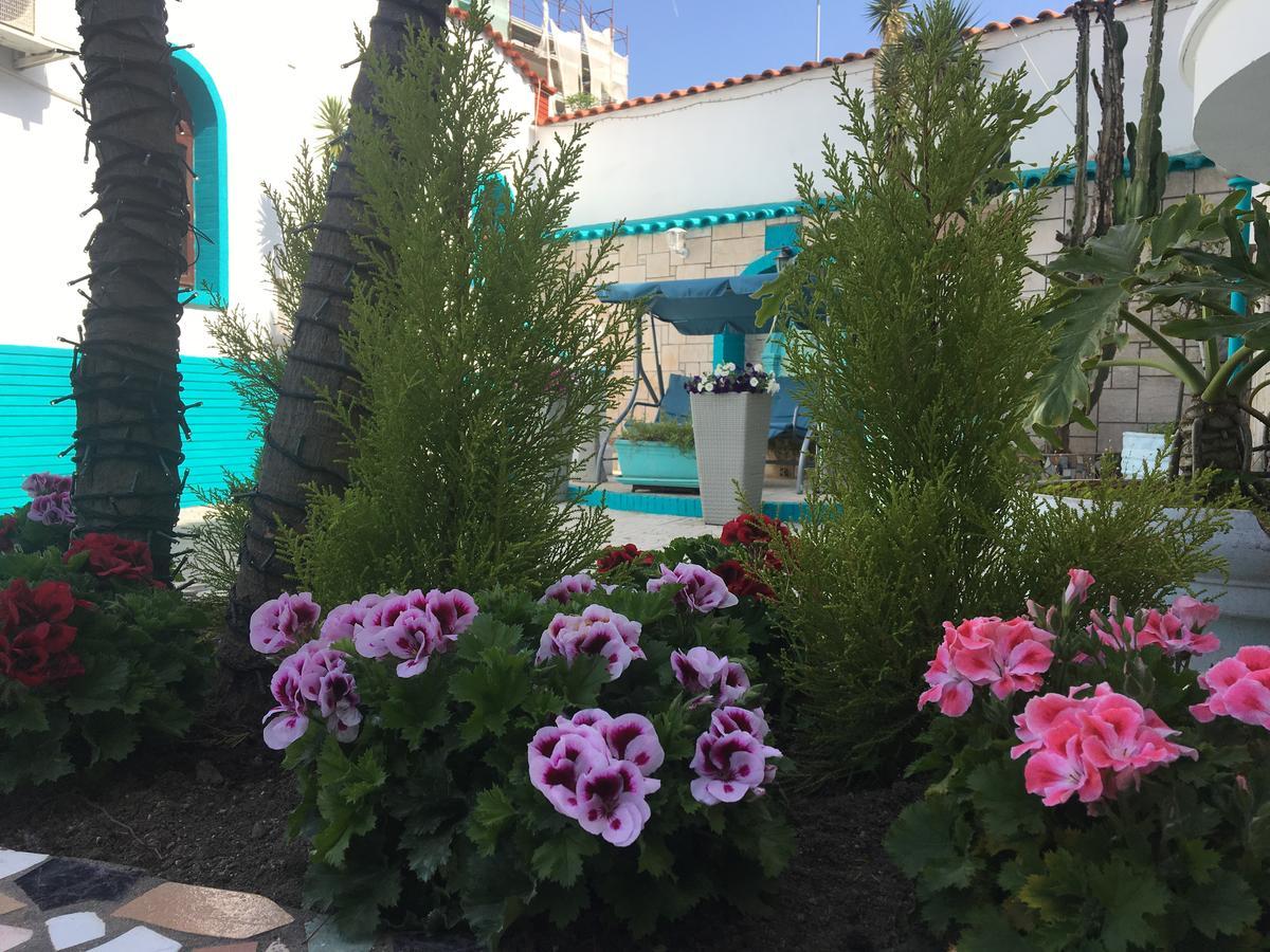 Residence R&B Tyrrhenum Монте ди Прочида Екстериор снимка